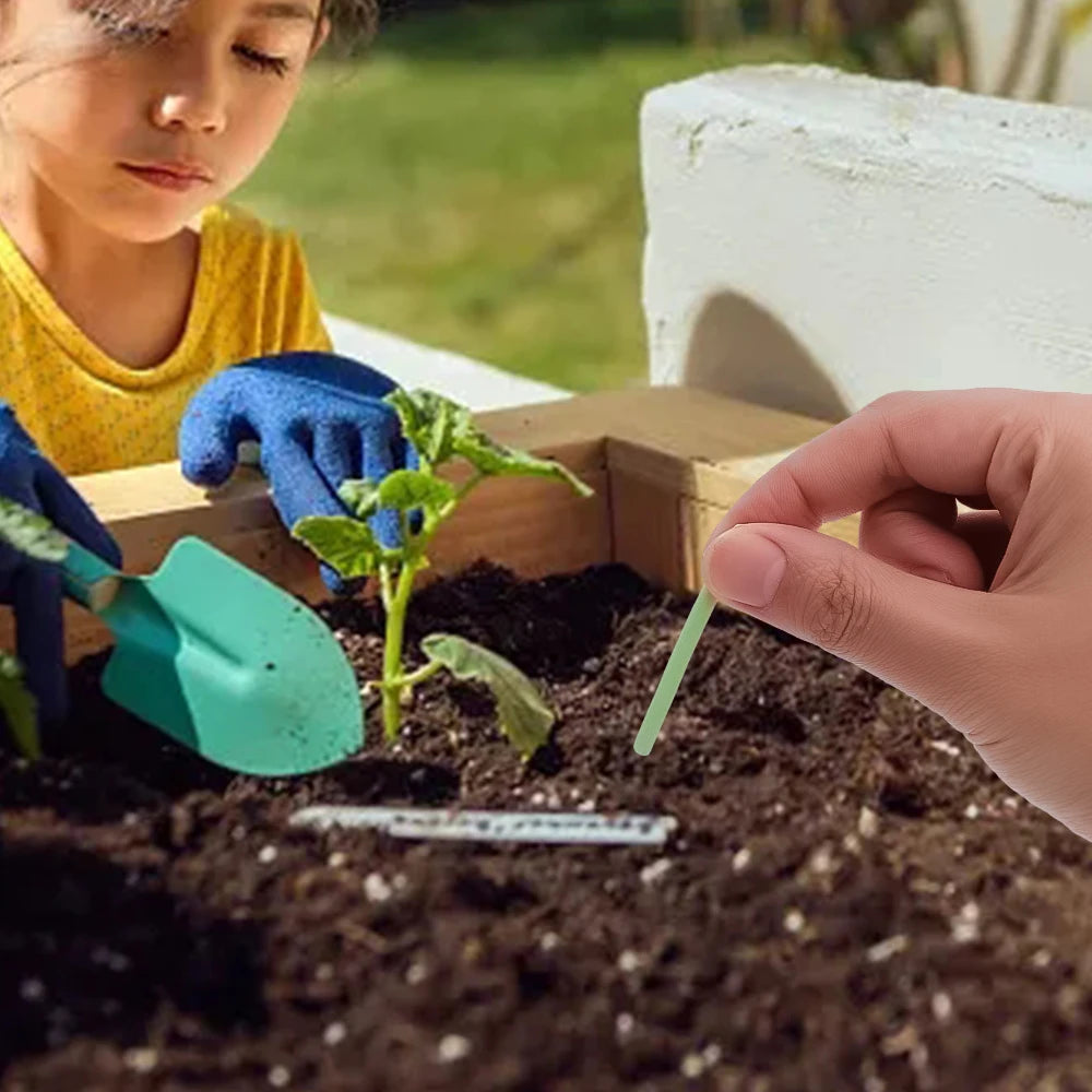 מקלות פלא ירוקים